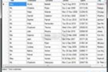 ANTS Memory Profiler预览：6-querybee-results-grid-ANTS Memory Profiler